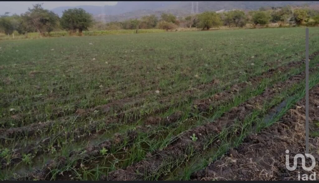 TERRENO OPORTUNIDAD DESARROLLADORES E INVERSIONISTAS, EN EMILANO ZAPATA