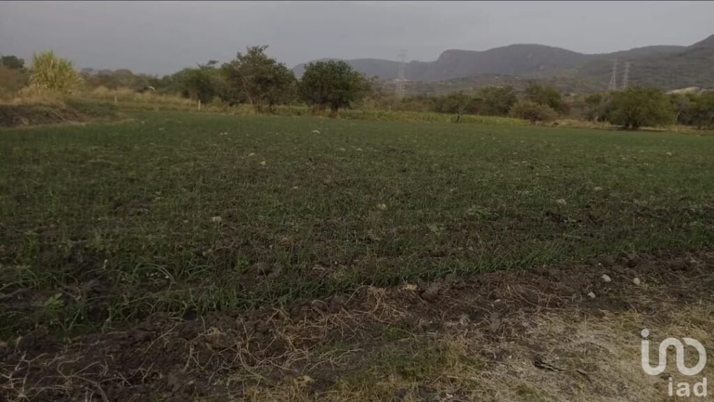 TERRENO OPORTUNIDAD DESARROLLADORES E INVERSIONISTAS, EN EMILANO ZAPATA