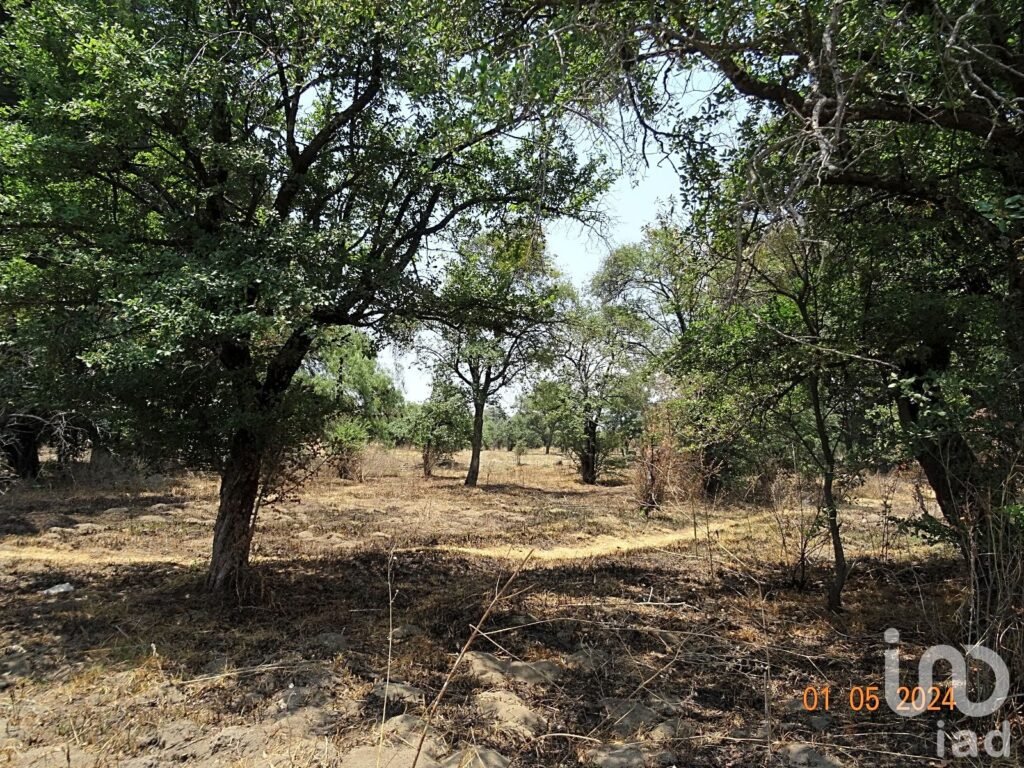 SE VENDE TERRENO EN HUEJOTZINGO, PUEBLA