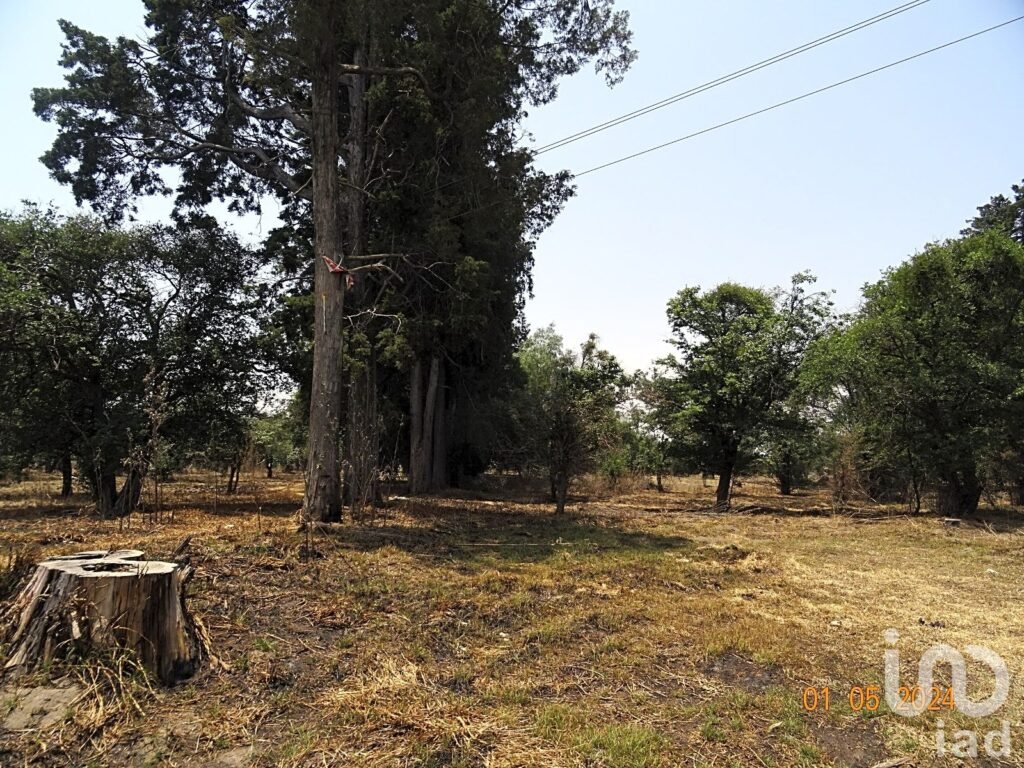 SE VENDE TERRENO EN HUEJOTZINGO, PUEBLA