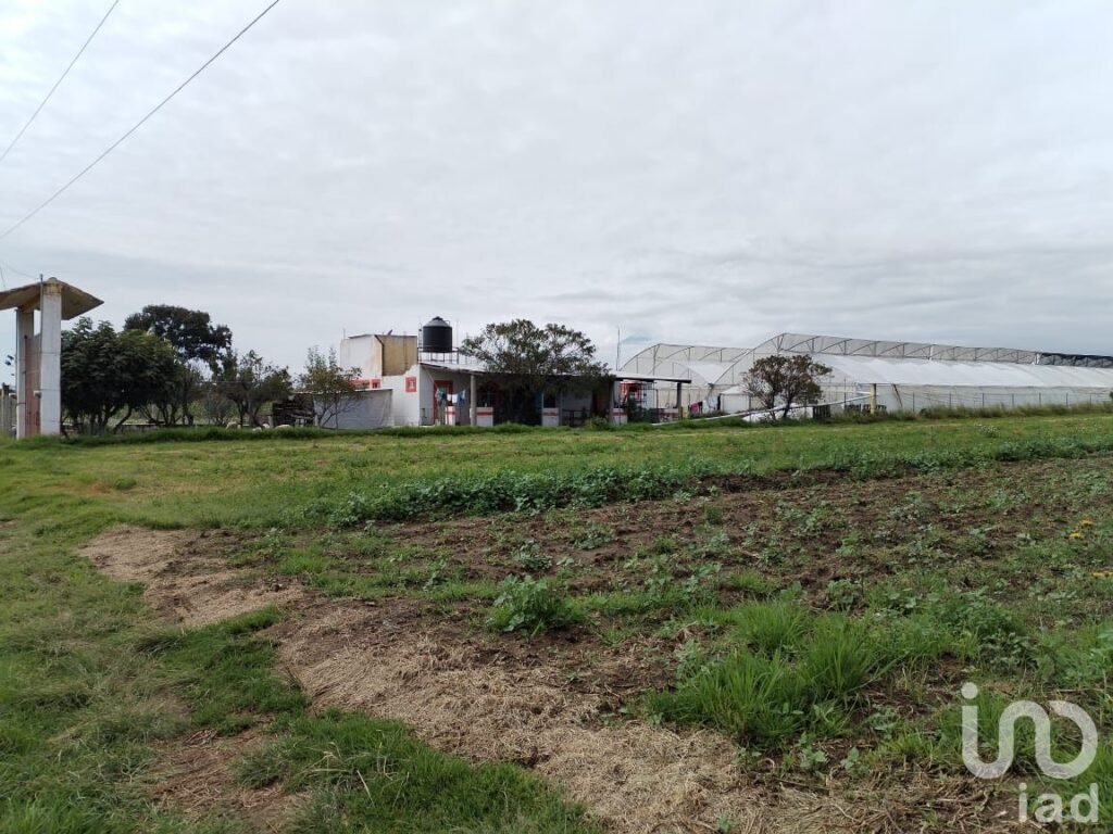 Rancho en venta en San Martin Texmelucan Puebla Mexico. - 2256290 rancho en venta rancho en venta en san martin texmelucan puebla mexico 248749