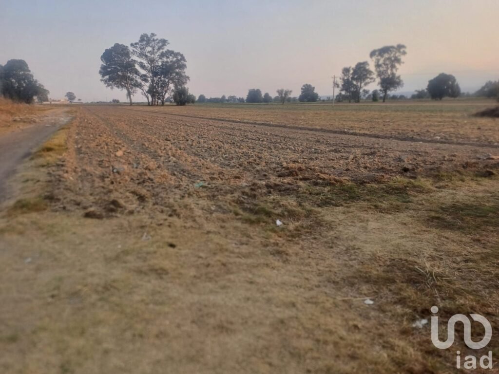 Terreno en renta Carretera Federal A Huejotzingo Puebla