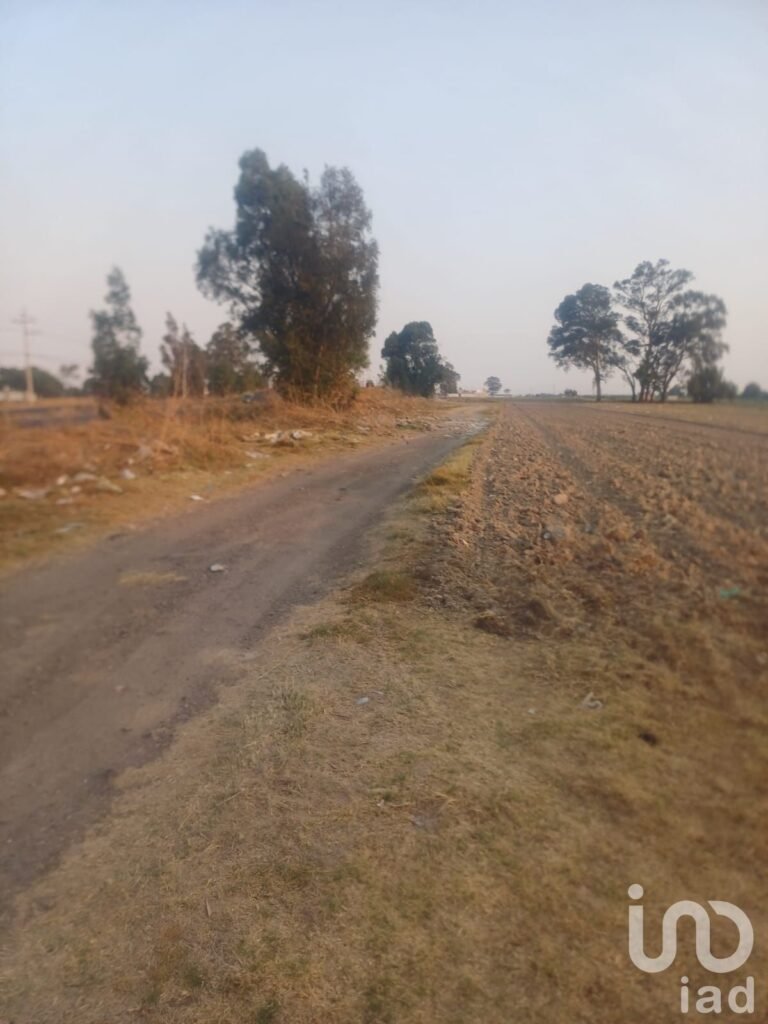 Terreno en renta Carretera Federal A Huejotzingo Puebla