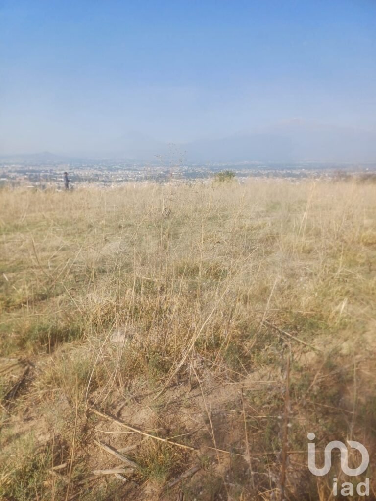 Terreno en venta San Cristóbal Tepatlaxco Municipio San Martin Texmelucan Puebla Mex.