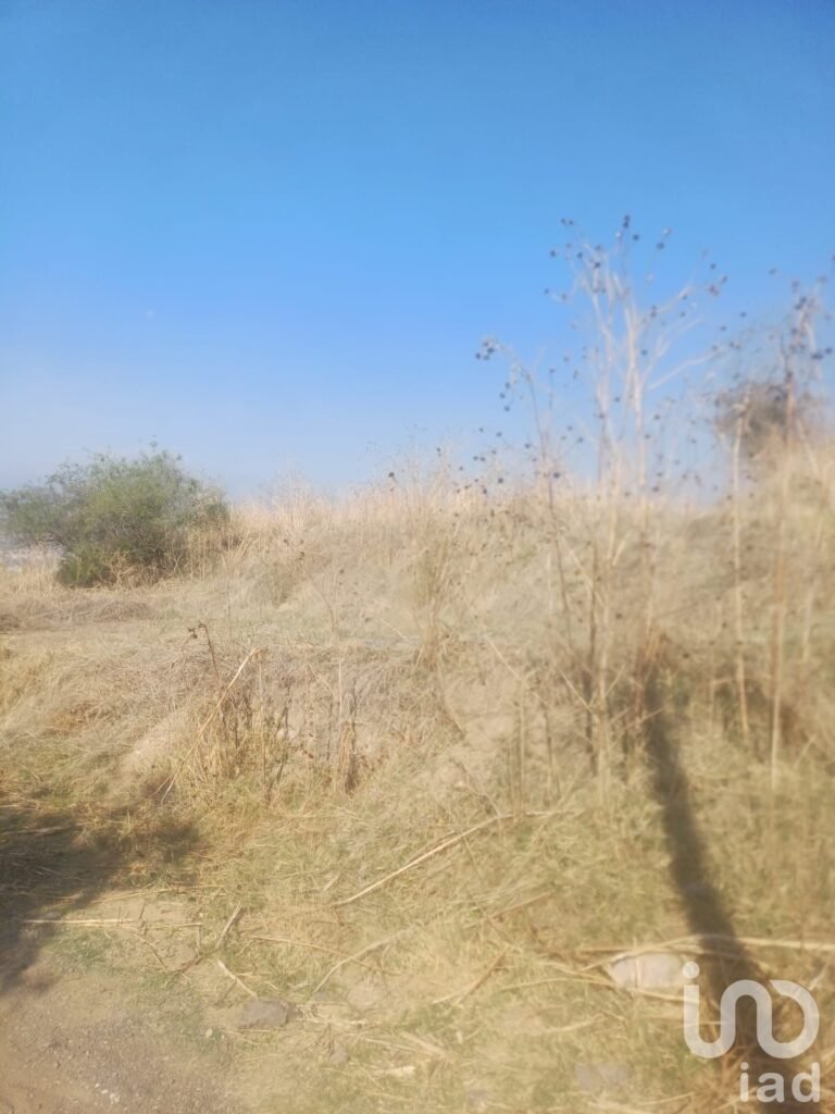 Terreno en venta San Cristóbal Tepatlaxco Municipio San Martin Texmelucan Puebla Mex.