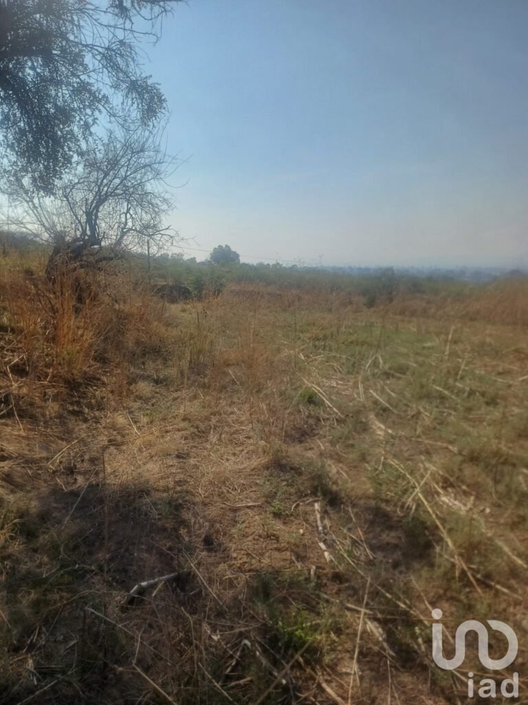 Terreno en venta San Cristóbal Tepatlaxco Municipio San Martin Texmelucan Puebla Mex.