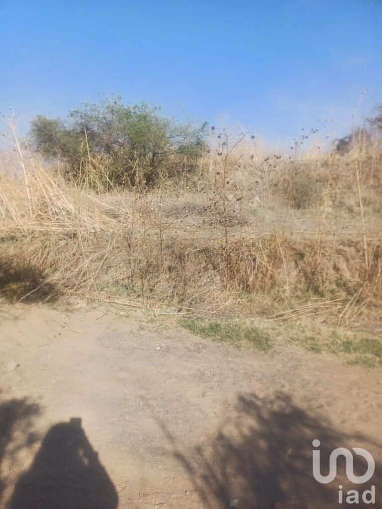 Terreno en venta San Cristóbal Tepatlaxco Municipio San Martin Texmelucan Puebla Mex.