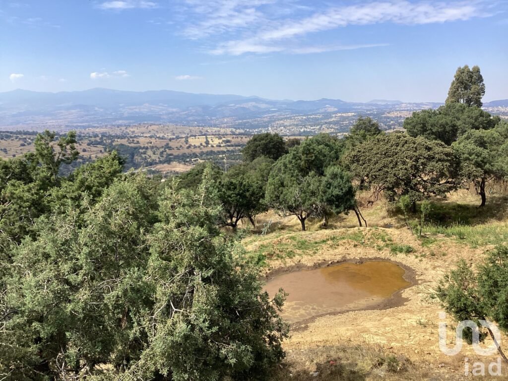 TERRENO EN VENTA  SAN ISIDRO MIRADOR SAN FELIPE IXTACUIXTLA TLAXCALA MEX.