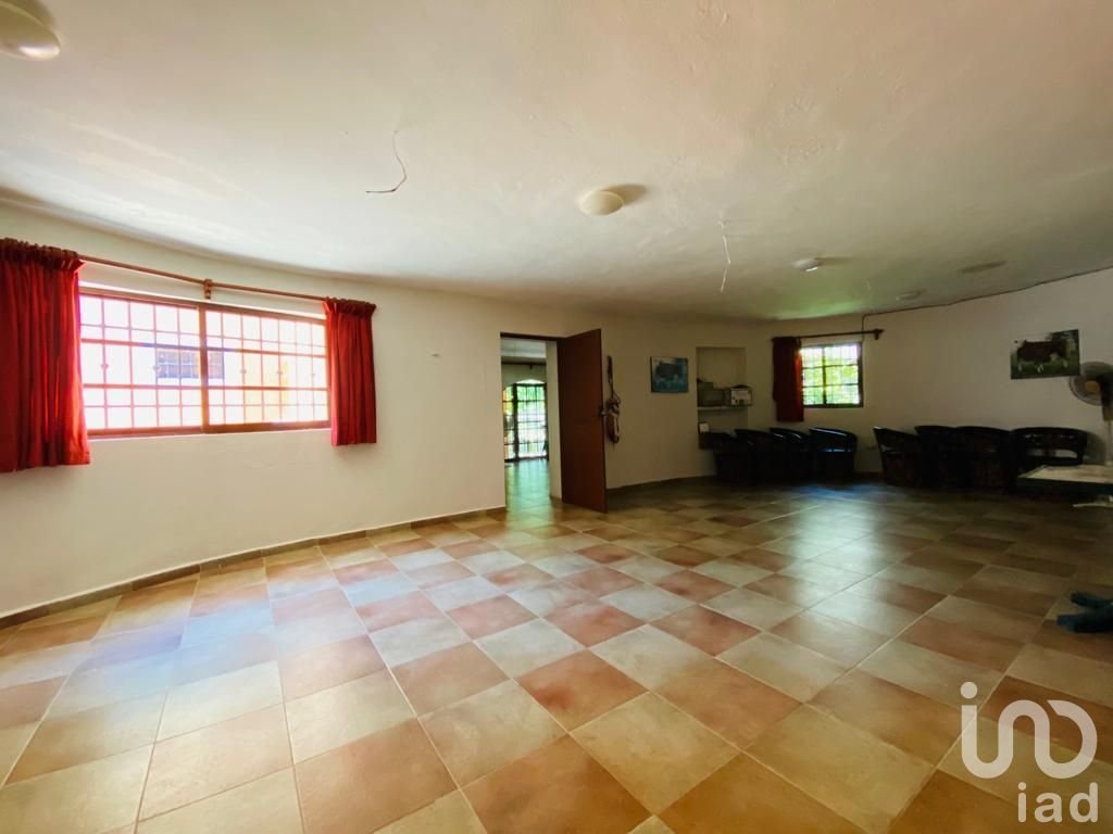 RANCHO EN  VENTA EN TIZIMÍN, MÉRIDA YUCATÁN