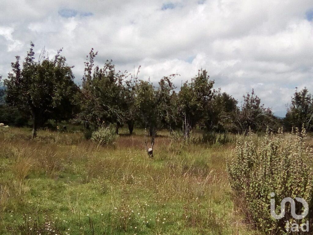 Terreno en Venta San Salvador el Verde Puebla Mexico