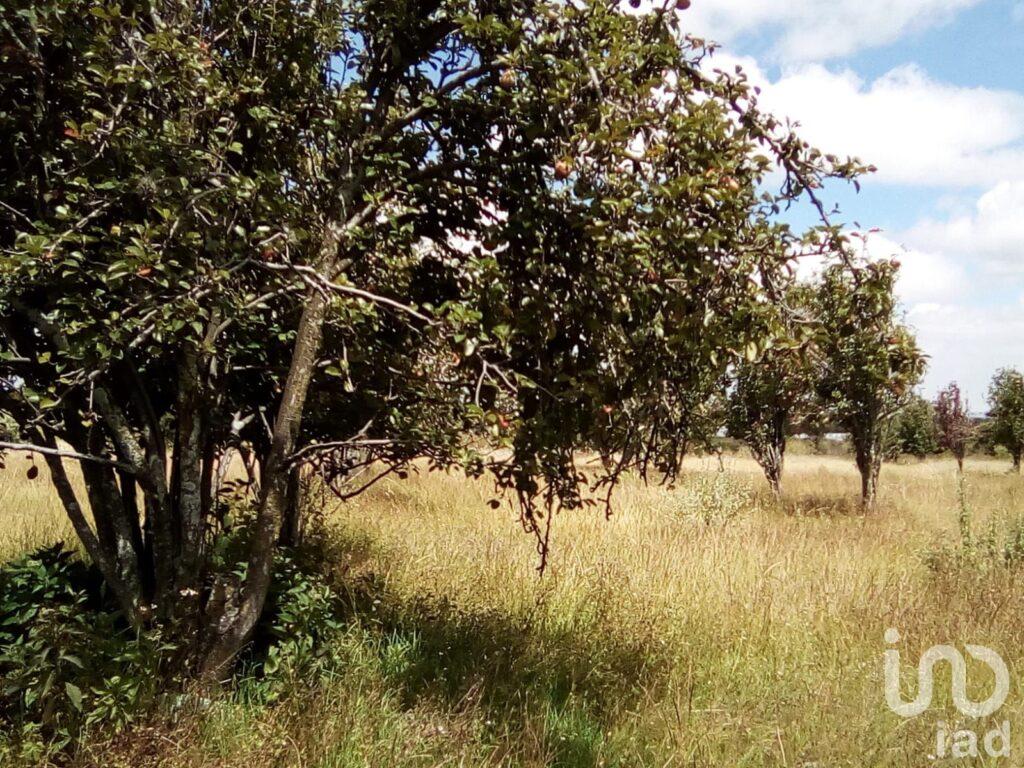 Terreno en Venta San Salvador el Verde Puebla Mexico