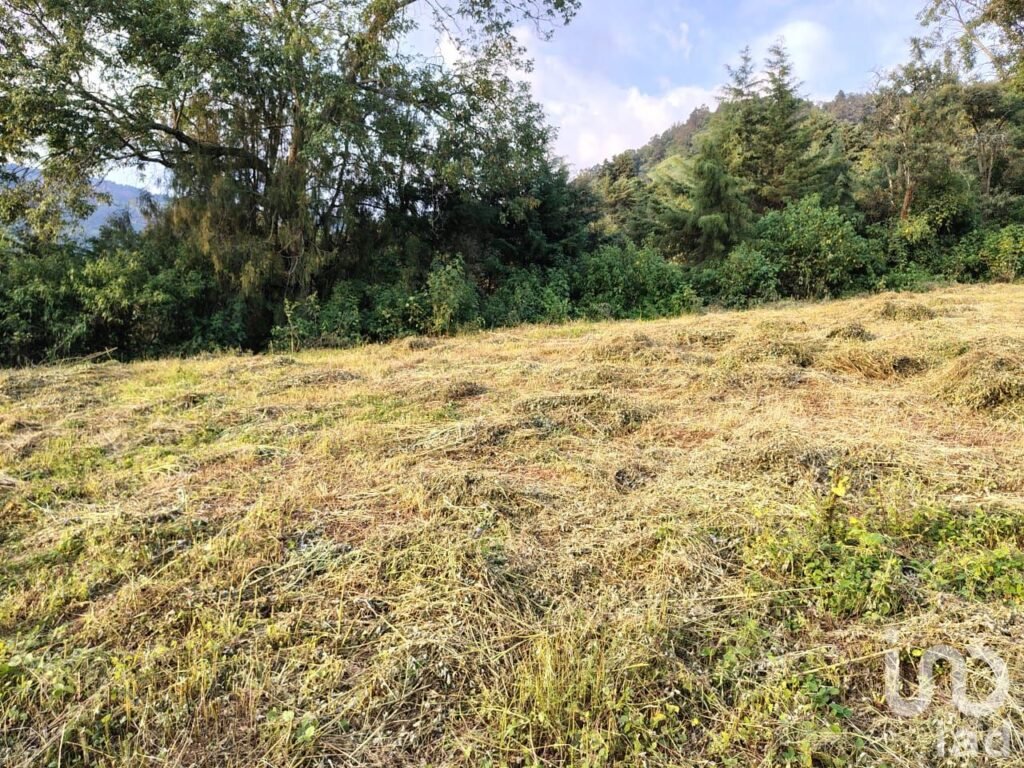 TERRENO EN VENTA MUNICIPIO DE TENANCINGO