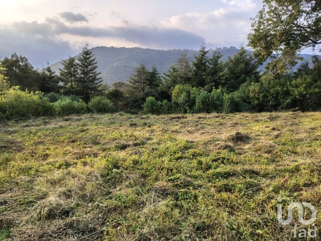 TERRENO EN VENTA MUNICIPIO DE TENANCINGO