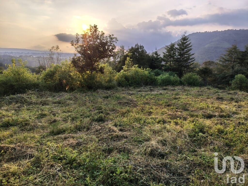 TERRENO EN VENTA MUNICIPIO DE TENANCINGO