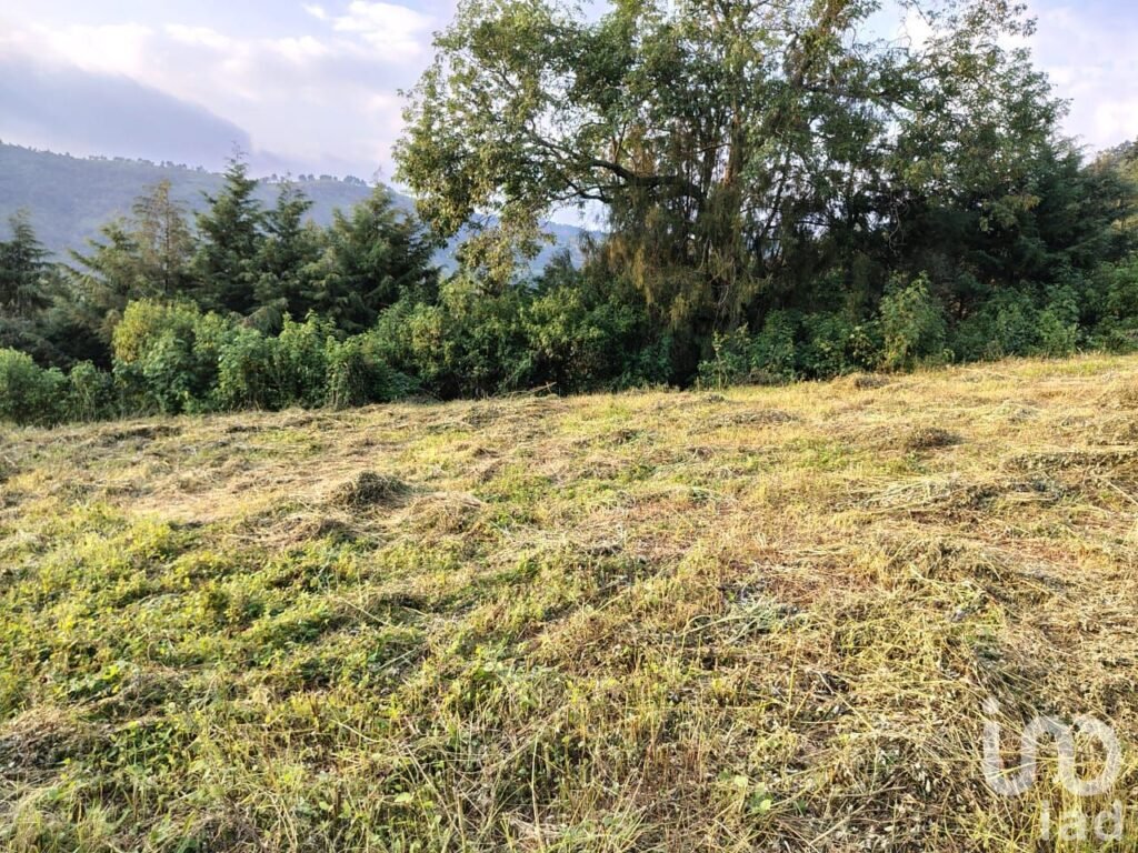 TERRENO EN VENTA MUNICIPIO DE TENANCINGO