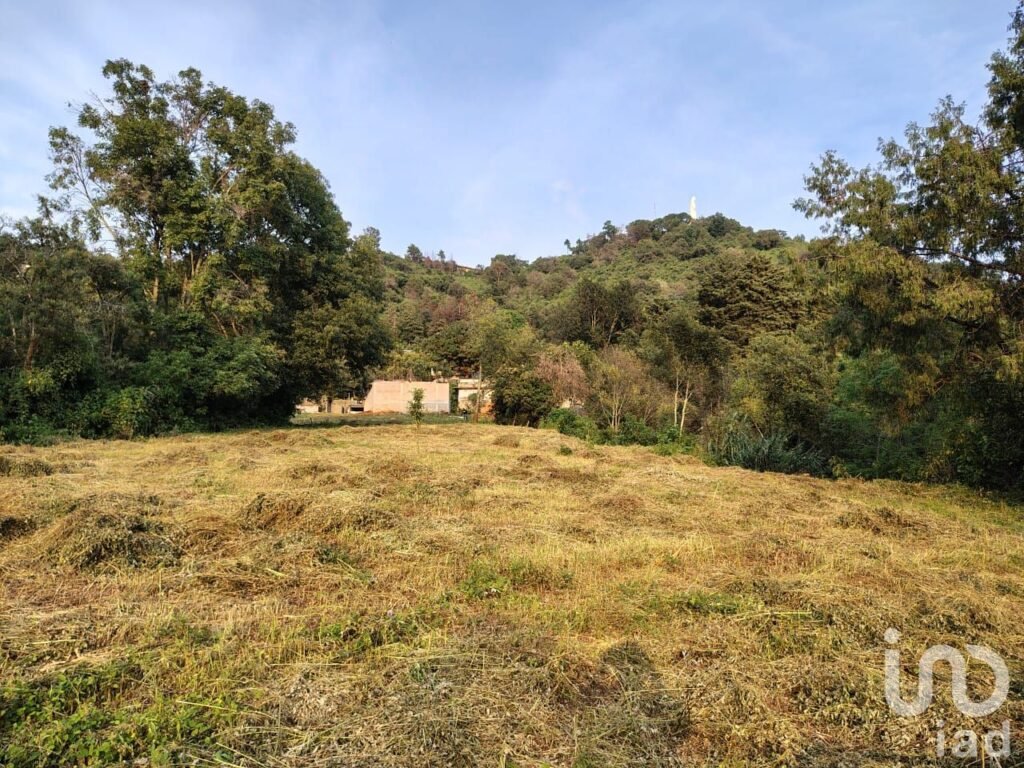 TERRENO EN VENTA MUNICIPIO DE TENANCINGO