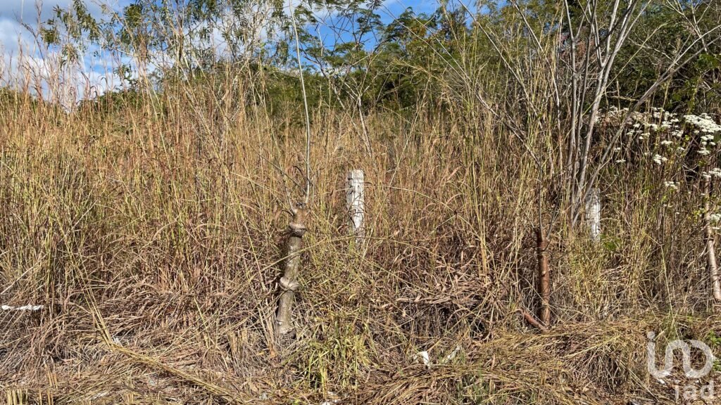 VENTA DE TERRENO ALADO DEL AUTODROMA DE TUXTLA GUTIERREZ CHIAPAS