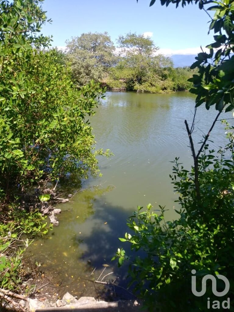 VENTA DE QUINTA CON PALAPA EN CABEZA DE TORO, CHIAPAS