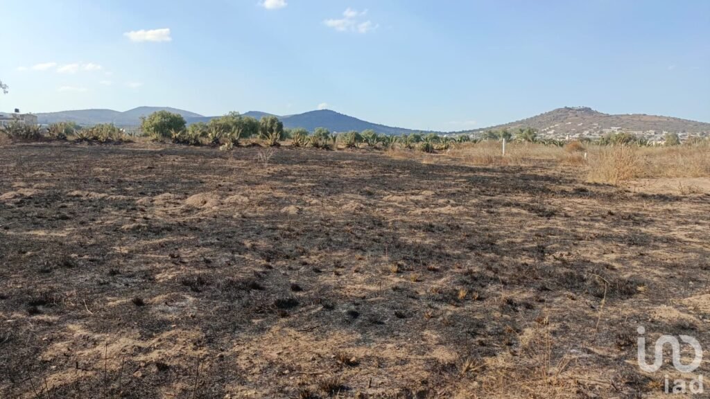 Venta de Terreno Atrás de Bodega Bimbo Pachuca