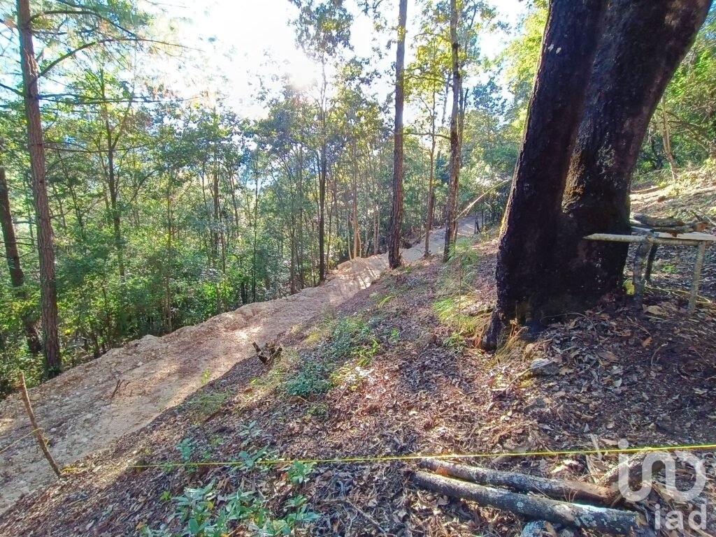 Terreno en Venta, San Cristóbal de las Casas, Chiapas