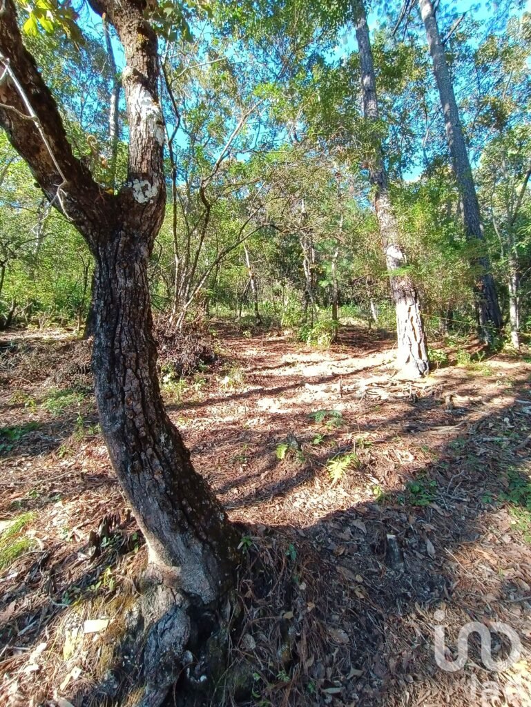 Terreno en Venta, San Cristóbal de las Casas, Chiapas