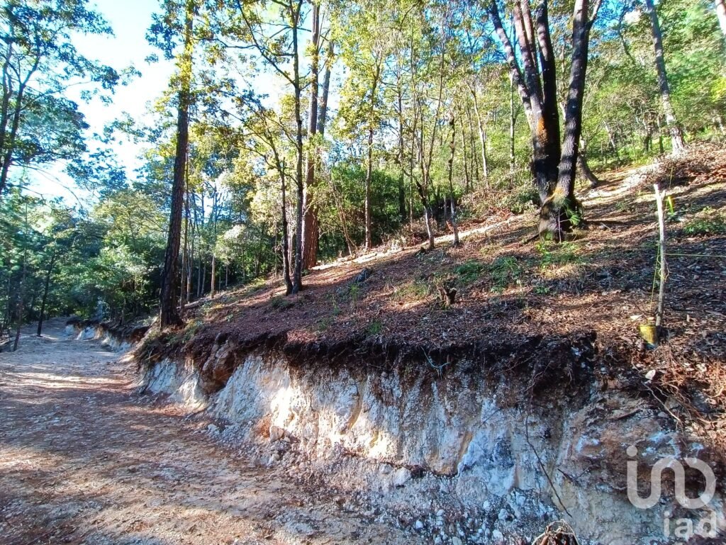 Terreno en Venta, San Cristóbal de las Casas, Chiapas