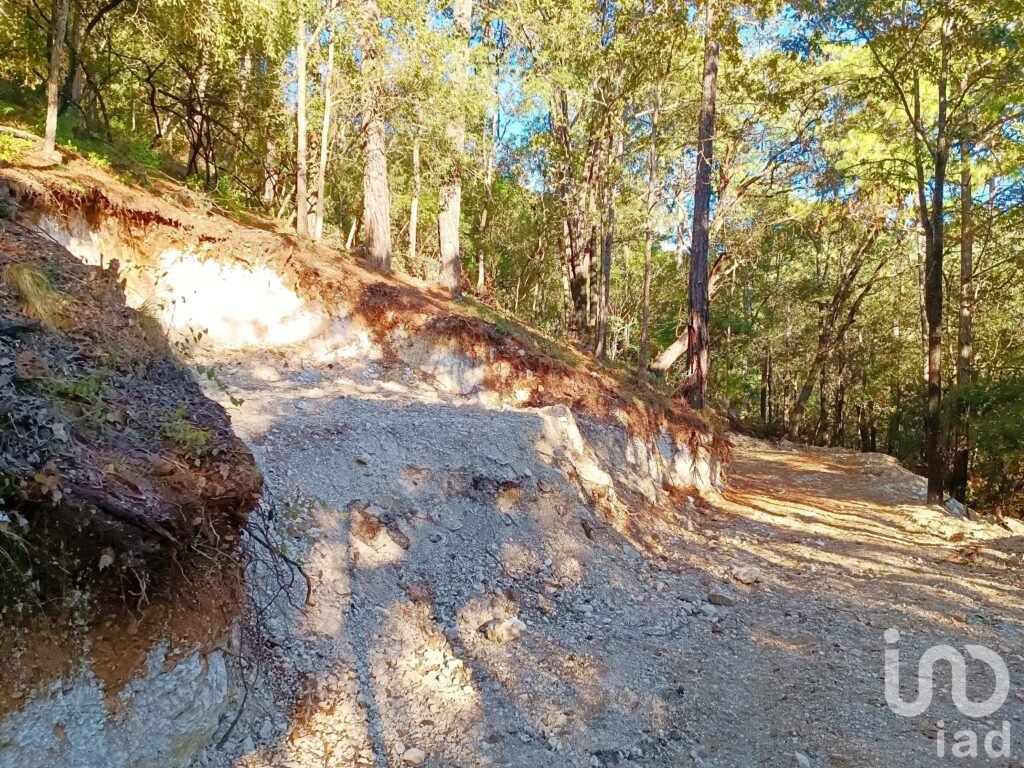 Terreno en Venta, San Cristóbal de las Casas, Chiapas