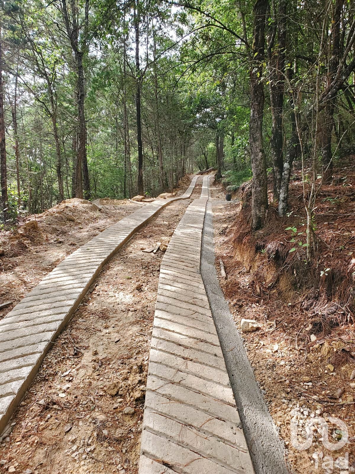 Terreno en Venta, San Cristóbal de las Casas, Chiapas Terreno en Venta, San Cristóbal de las Casas, Chiapas