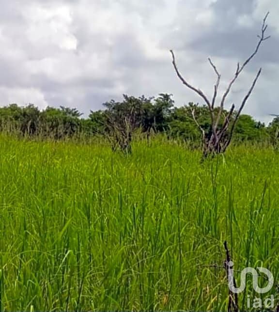 EN VENTA TERRENO PARA AGRICULTURA, GANADERÍA, ACUACULTURA, ECOTURISMO EN CAMPECHE.