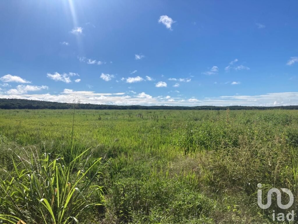EN VENTA TERRENO PARA AGRICULTURA, GANADERÍA, ACUACULTURA, ECOTURISMO EN CAMPECHE.