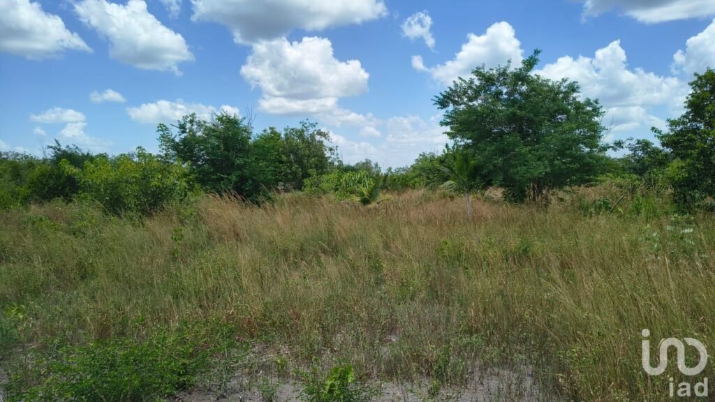 EN VENTA TERRENO PARA AGRICULTURA, GANADERÍA, ACUACULTURA, ECOTURISMO EN CAMPECHE.