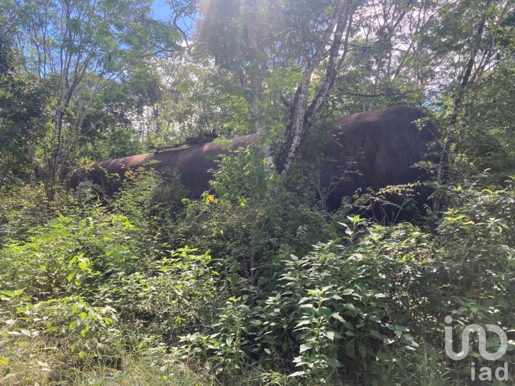 EN VENTA TERRENO PARA AGRICULTURA, GANADERÍA, ACUACULTURA, ECOTURISMO EN CAMPECHE.