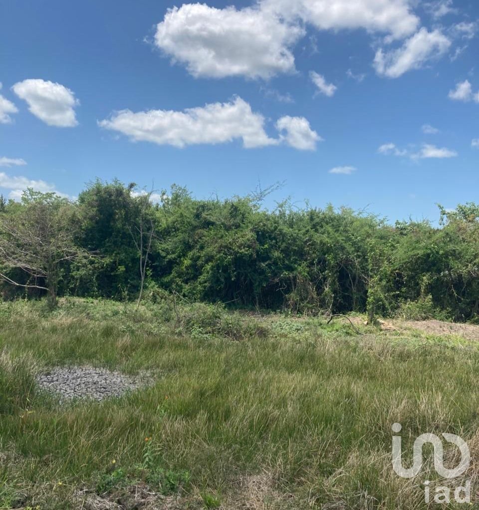 EN VENTA TERRENO PARA AGRICULTURA, GANADERÍA, ACUACULTURA, ECOTURISMO EN CAMPECHE.