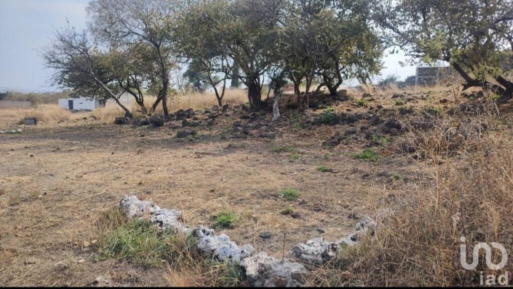 VENTA DE TERRENOS DE USO RESIDENCIAL EN EL FRACCIONAMIENTO JOYAS  DE TLAYACAPAN