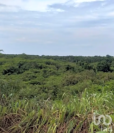 Venta de Terreno  Antigua Hacienda El Potrero municipio Coahuayutla, Guerrero