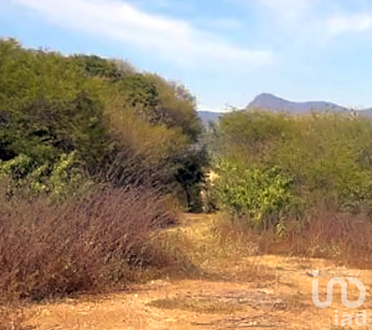 Venta de Terreno  Antigua Hacienda El Potrero municipio Coahuayutla, Guerrero