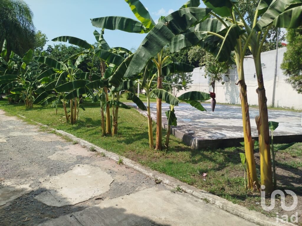 QUINTA CAMPESTRE BOSQUES DE LA SILLA