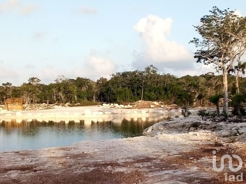 EN VENTA LOTE RESIDENCIAL CON EXTENSAS ÁREAS VERDES EN CANCUN QUINTANA ROO