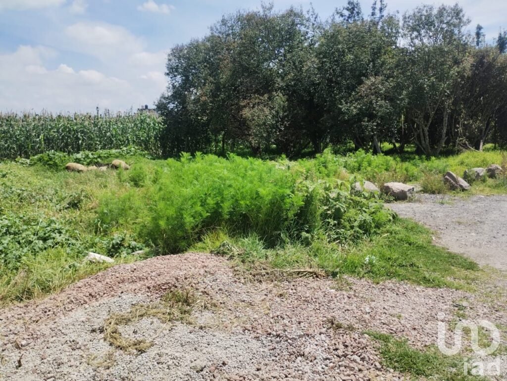 Terreno en venta en San Mateo Otzacatipan, Toluca, Estado de México