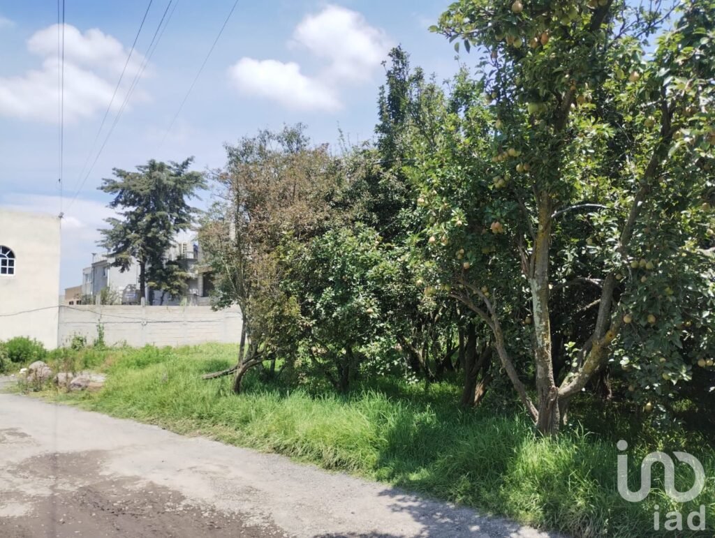 Terreno en venta en San Mateo Otzacatipan, Toluca, Estado de México