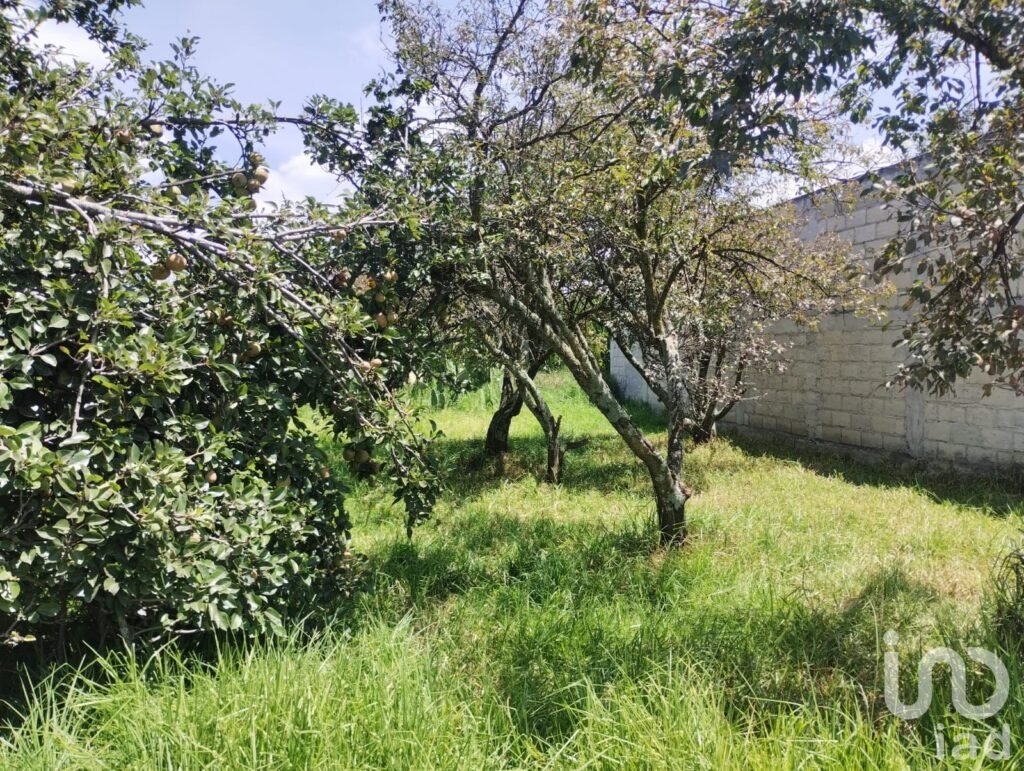 Terreno en venta en San Mateo Otzacatipan, Toluca, Estado de México