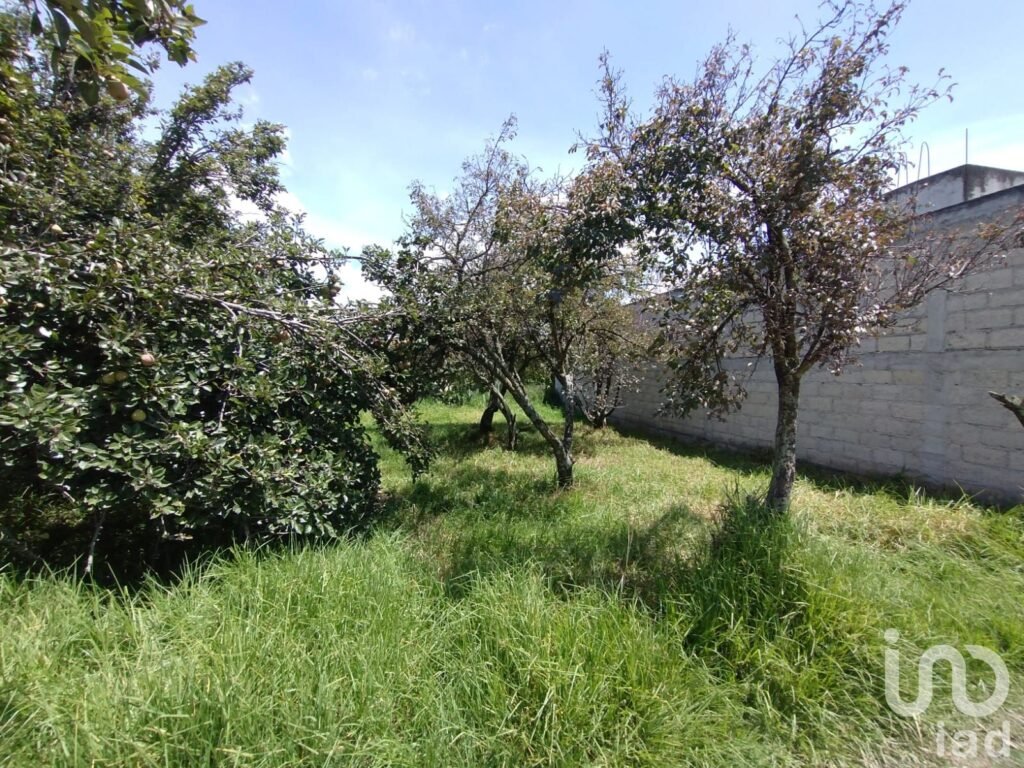 Terreno en venta en San Mateo Otzacatipan, Toluca, Estado de México