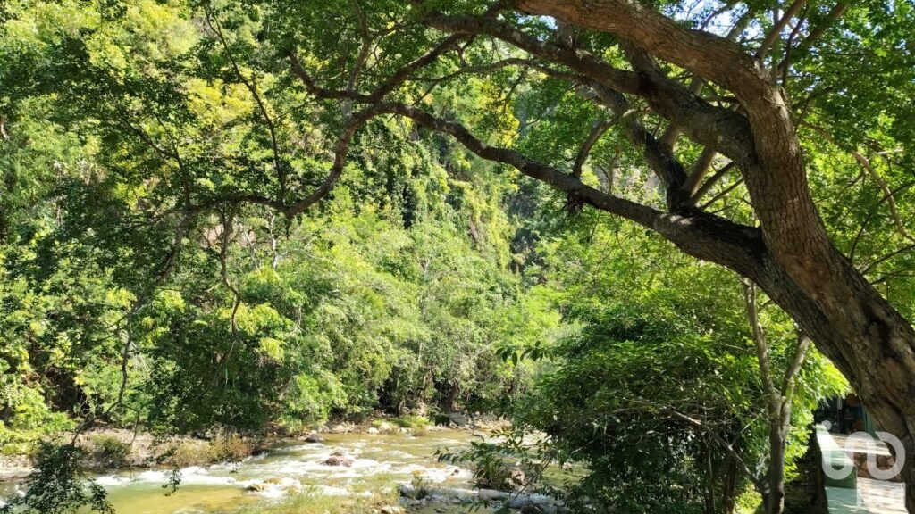 SE VENDE TERRENO EN PUERTO VALLARTA