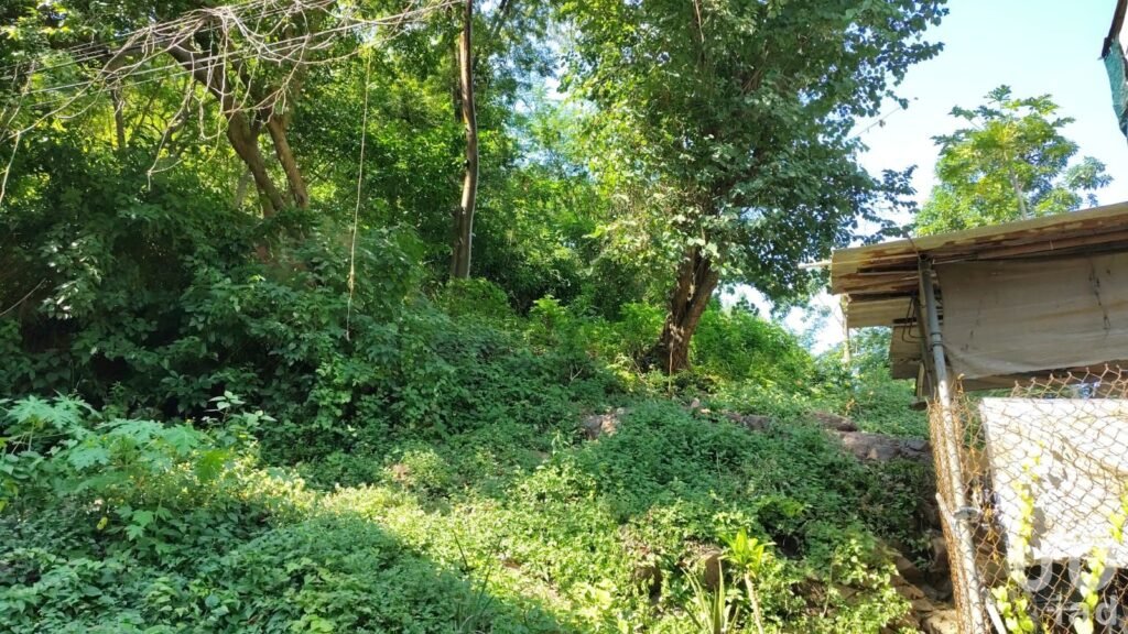 SE VENDE TERRENO EN PUERTO VALLARTA