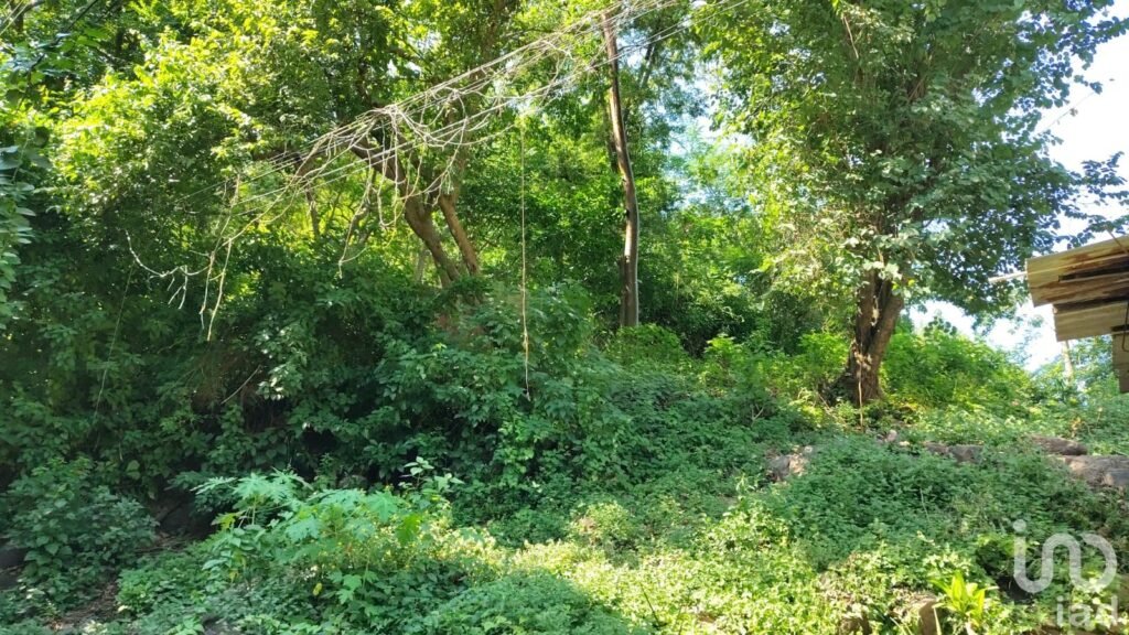 SE VENDE TERRENO EN PUERTO VALLARTA