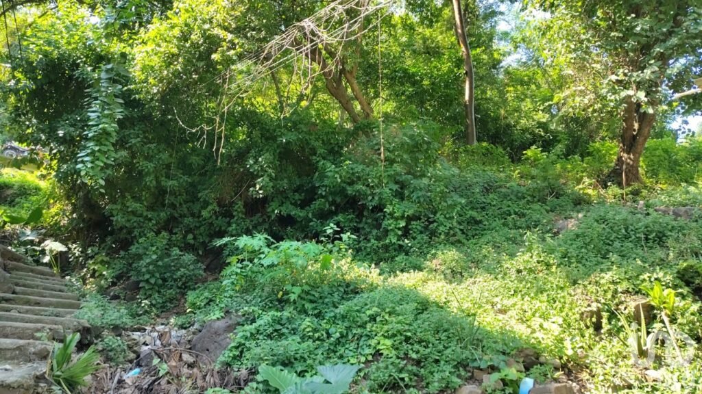 SE VENDE TERRENO EN PUERTO VALLARTA