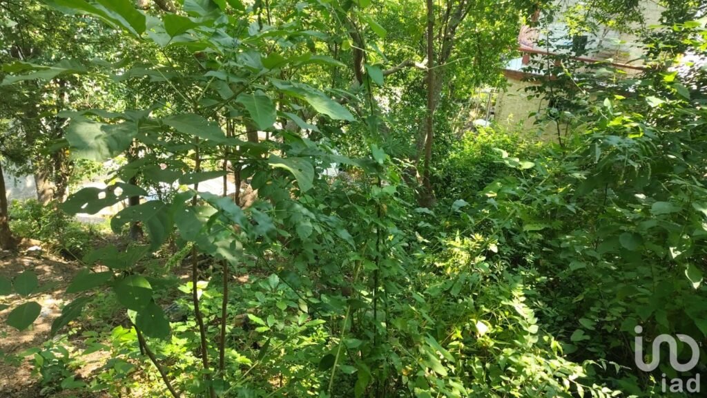 SE VENDE TERRENO EN PUERTO VALLARTA