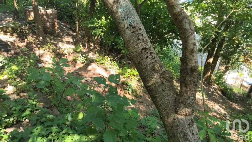 SE VENDE TERRENO EN PUERTO VALLARTA