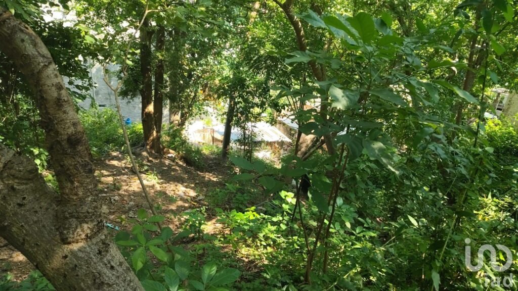 SE VENDE TERRENO EN PUERTO VALLARTA