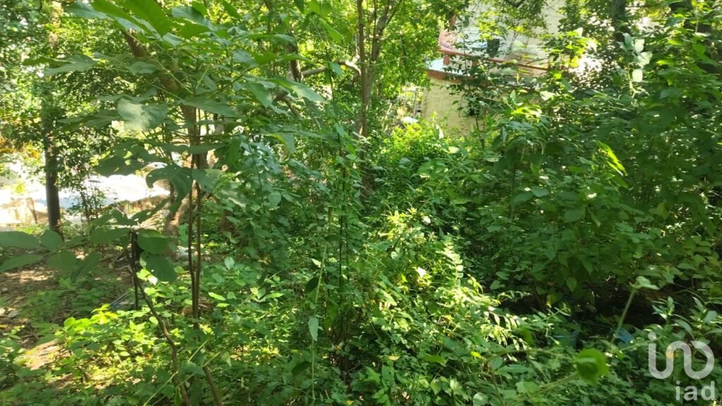 SE VENDE TERRENO EN PUERTO VALLARTA